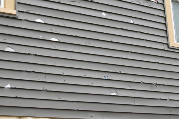 Best Siding Painting and Refinishing  in St Augustine Beach, FL